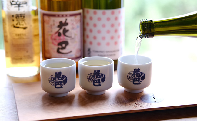 利き酒体験